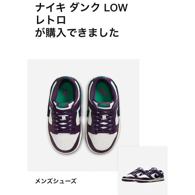NIKE(ナイキ)のNike Dunk Low Chenille Swoosh メンズの靴/シューズ(スニーカー)の商品写真