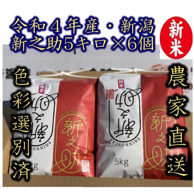 フラッシュ様専用 新潟 新之助5キロ6袋 入佐川急便発送 驚きの価格が