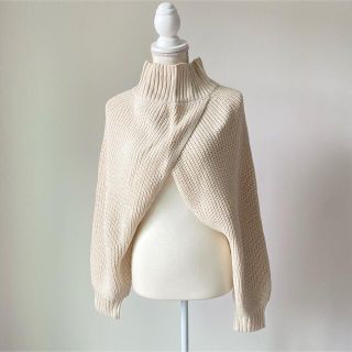 最新作✴︎新品✴︎ハイネックショート丈ニット　アイボリー(ニット/セーター)