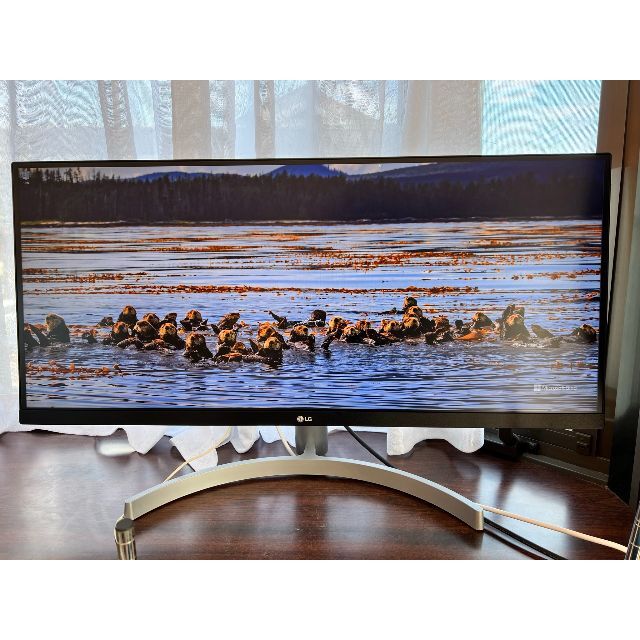 LG Electronics - LG ウルトラワイドモニター 29WN600-W