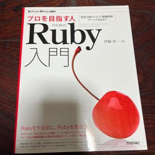 プロを目指す人のためのＲｕｂｙ入門 言語仕様からテスト駆動開発・デバッグ技法まで(コンピュータ/IT)