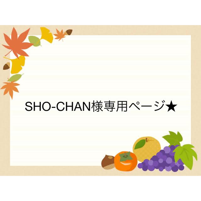 SHO-CHAN様専用ページ☆の通販 by はむはむステッカー|ラクマ