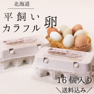 ～彩鮮やかなカラフル卵～ 北海道 水芭蕉卵 ＊ 8個入り×2パック(その他)