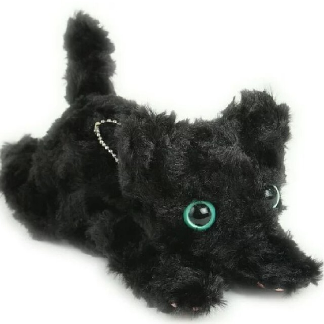 powapowaクロエ 2c93VFpgRN - www.fincalerida.com