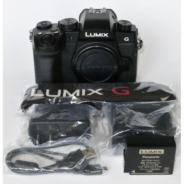 極美品　Panasonic LUMIX DC-G99 ボディ