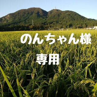 のんちゃん様専用(米/穀物)