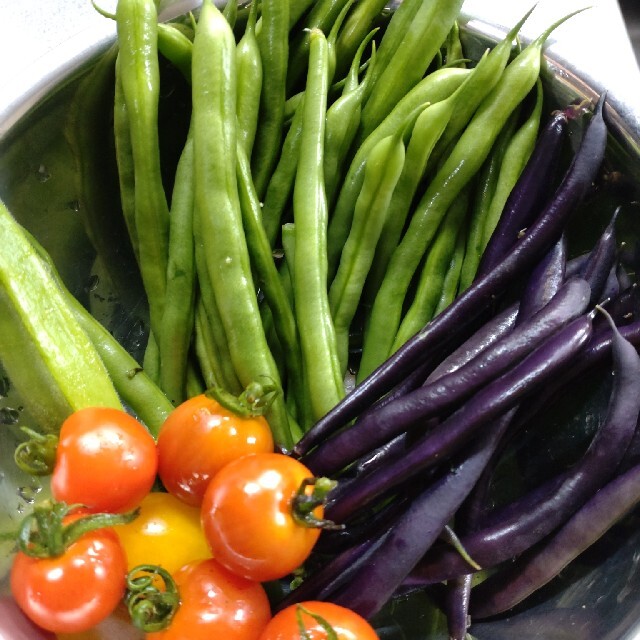 野菜詰め合わせセット　無農薬栽培 食品/飲料/酒の食品(野菜)の商品写真