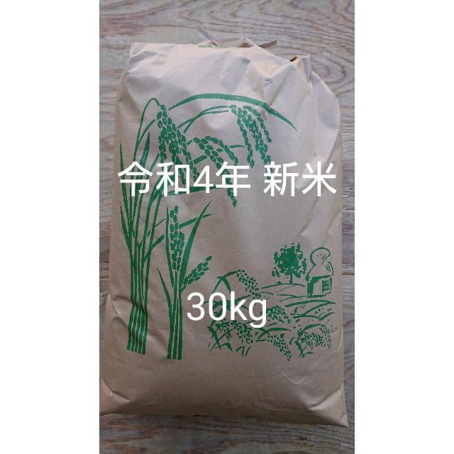 新米　キヌヒカリ　農家直送　令和４年産　米/穀物　和歌山県産　玄米30kg