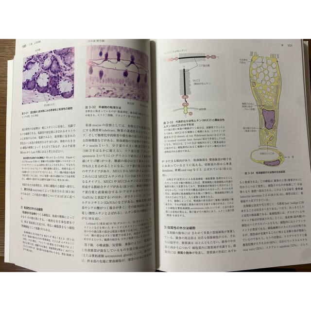 標準組織学 総論 第５版　各論　第５版　セット エンタメ/ホビーの本(健康/医学)の商品写真