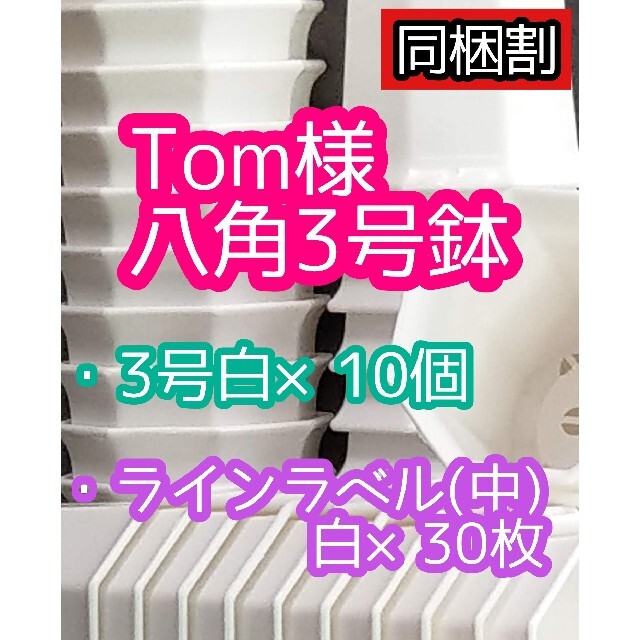 Tom様 ラインラベル ハンドメイドのフラワー/ガーデン(その他)の商品写真