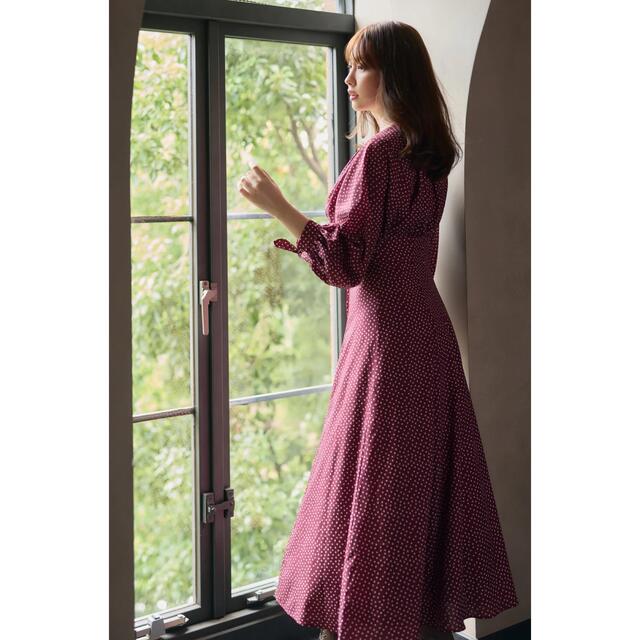 Her lip to(ハーリップトゥ)のあんころもちさん専用　Lyon Polka-Dot Long Dress レディースのワンピース(ロングワンピース/マキシワンピース)の商品写真