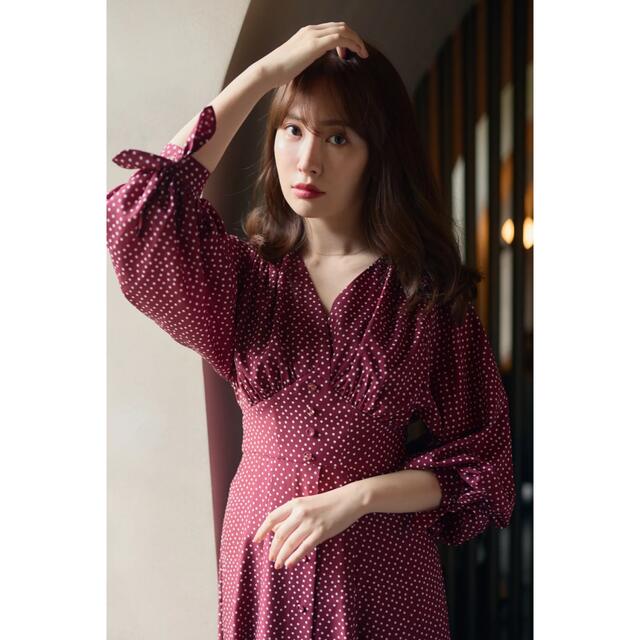 Her lip to(ハーリップトゥ)のあんころもちさん専用　Lyon Polka-Dot Long Dress レディースのワンピース(ロングワンピース/マキシワンピース)の商品写真