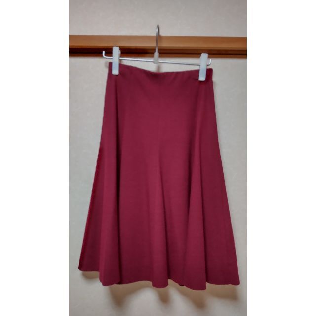 ANAYI(アナイ)のANAYI　スカート レディースのスカート(ひざ丈スカート)の商品写真