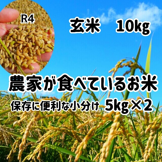 5㎏×2　玄米　農家が食べているお米！　米/穀物