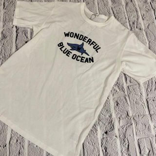 ワスク(WASK)の50/ワスク/WASK(Tシャツ/カットソー)