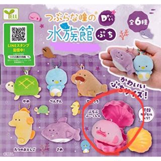 つぶらな瞳の水族館ぷち Dすいそう　ぶろふふぃっしゅ(新品)(キャラクターグッズ)