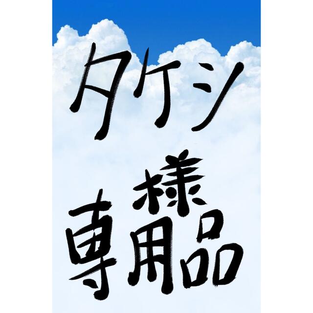 タケシ様専用品 aidmasensor.jp
