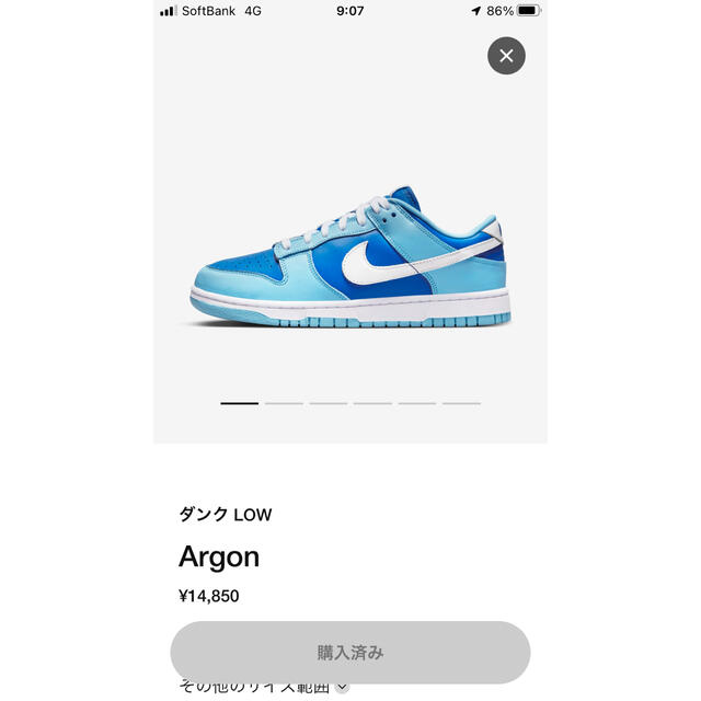 NIKE(ナイキ)のDunk Low Argon 28.0cm メンズの靴/シューズ(スニーカー)の商品写真