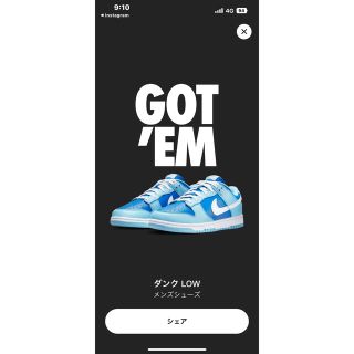 ナイキ(NIKE)のNike Dunk Low Retro QS Argon (スニーカー)