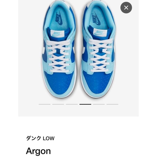 NIKE(ナイキ)のNike Dunk Low Retro QS "Argon" (2022) メンズの靴/シューズ(スニーカー)の商品写真