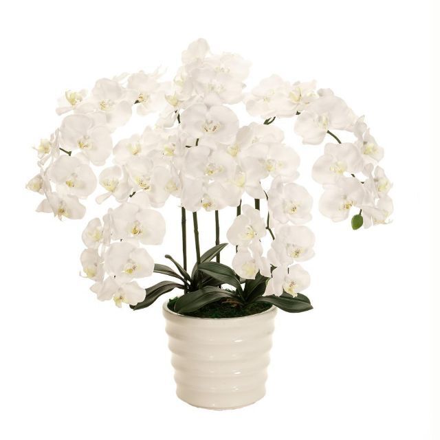 人工観葉植物 ピュアオーキッド5本立 (ファレノ) クリームホワイト