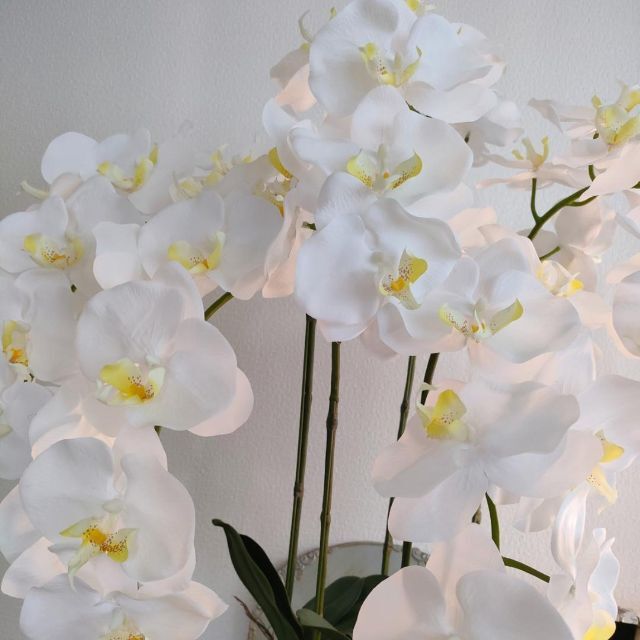 胡蝶蘭 5本 光触媒 造花 アーティフィシャルフラワー ホワイト 造花