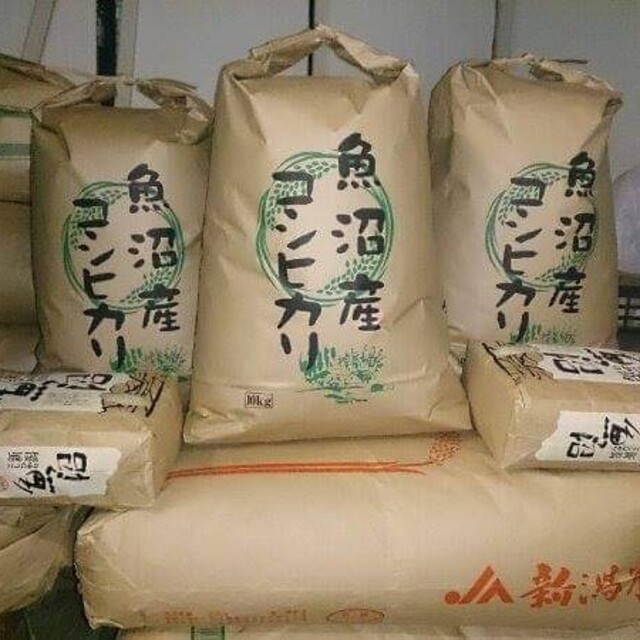 南魚沼産コシヒカリしおざわ西山地区 令和4年産玄米20kg 【新品】 www