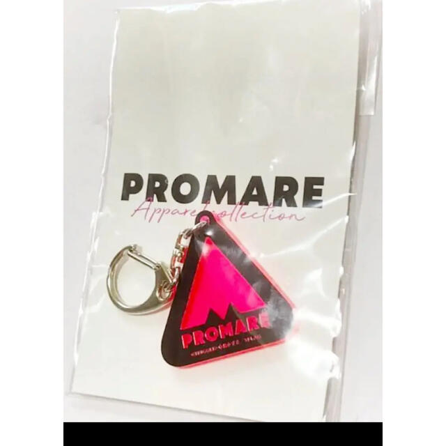 プロメア アクリルキーホルダー PROMAREロゴ エンタメ/ホビーのアニメグッズ(キーホルダー)の商品写真