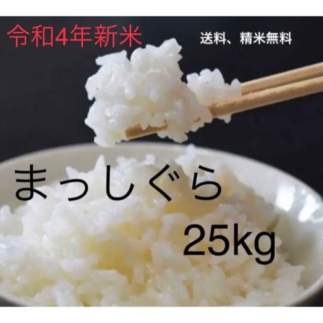 25kg　令和4年新米】まっしぐら　上白米　青森米　米/穀物