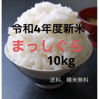 【令和4年度新品】まっしぐら　10kg 青森米(米/穀物)