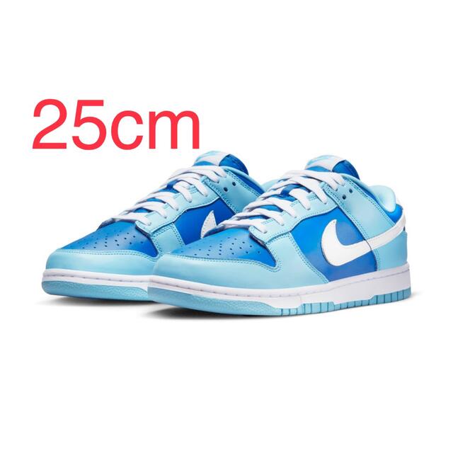 Nike Dunk Low Retro QS "Argon" (2022)