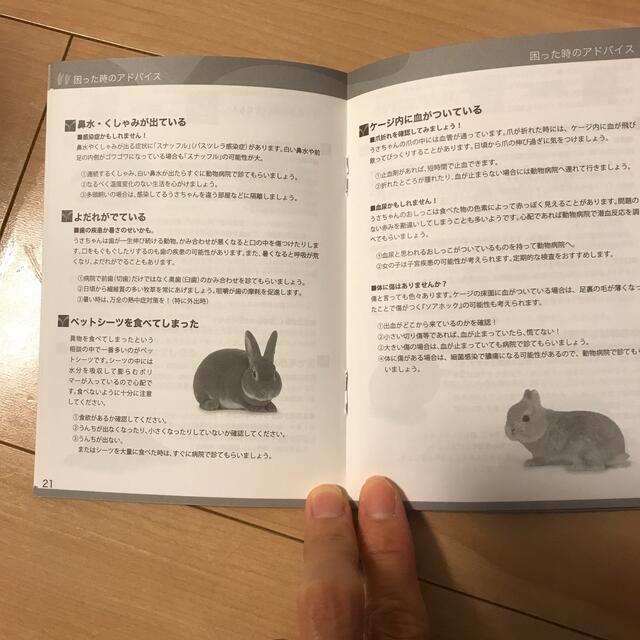 うさぎの健康手帳の通販 by Aぼん's shop|ラクマ