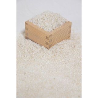 自然栽培　令和4年度丹波産コシヒカリ　5kg(米/穀物)