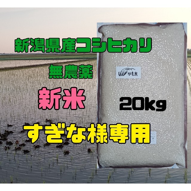 無農薬米新潟県産コシヒカリ20k