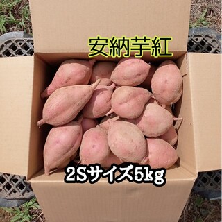 安納芋紅2Sサイズ5kg(種子島産)(野菜)
