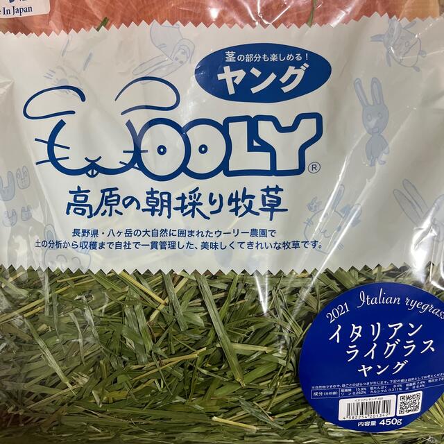 大割引 ウーリー高原の朝採り牧草 イタリアンライグラス ヤング×2袋