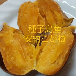 新物　種子島産　安納こがね　　　　ぷちミニ〜2S混合5キロ(野菜)