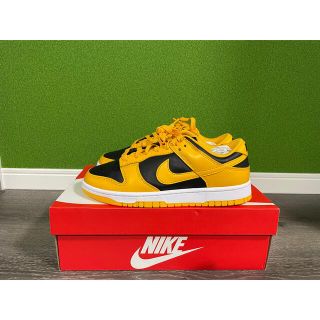 ナイキ(NIKE)のNIKE DUNK LOW RETRO（25.0cm）(スニーカー)