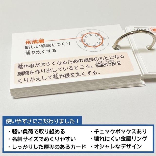 中学受験 理科（生物）植物 暗記カードセット【RK006】 エンタメ/ホビーの本(語学/参考書)の商品写真