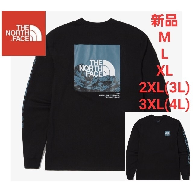 THE NORTH FACE　ノースフェイス　長袖　トップス　Tシャツ　M