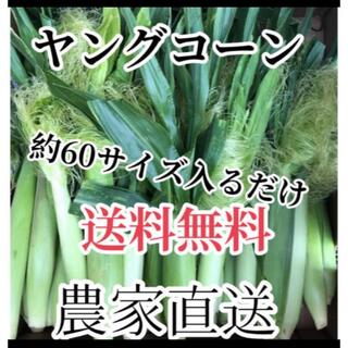 みね様専用　2箱、割引き！(野菜)