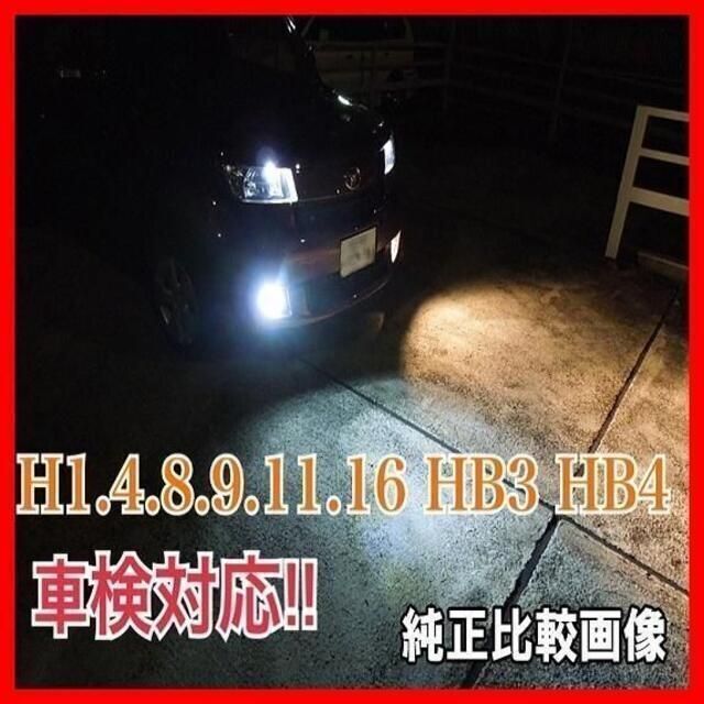 H8.9.11.16 爆光 フォグランプ グリーンレモン LED バルブ ライト Npdk8m6Oww - vvitacharter.com H8.9.11.16 爆光 フォグランプ グリーンレモン LED バルブ ライト Npdk8m6Oww - vvitacharter.com