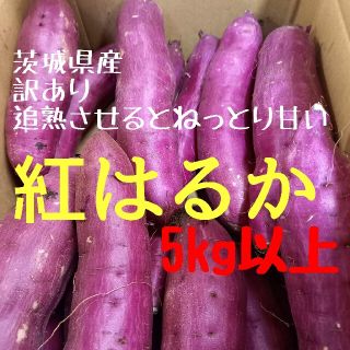 5㌔以上R4年茨城紅はるかご家庭用S(2Sメイン)サイズ&訳あり品甘熟サツマイモ(野菜)