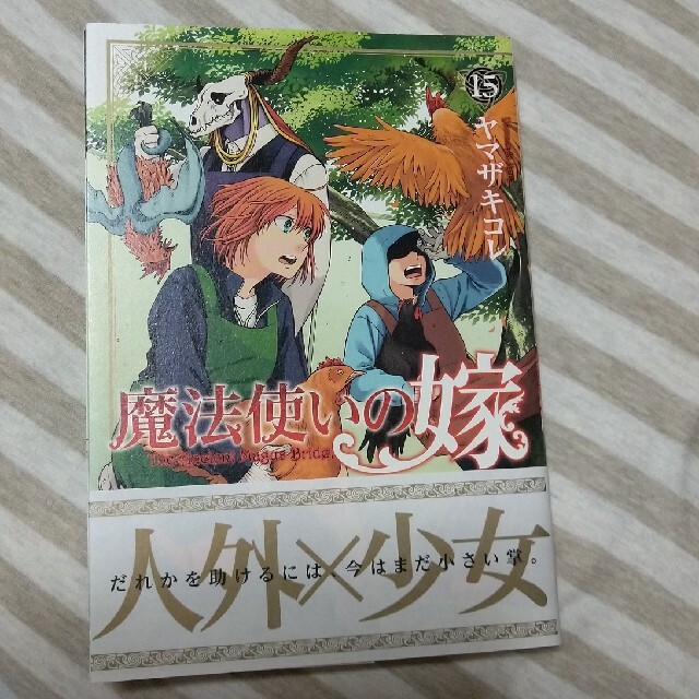 魔法使いの嫁 15巻 ヤマザキコレ エンタメ/ホビーの漫画(青年漫画)の商品写真