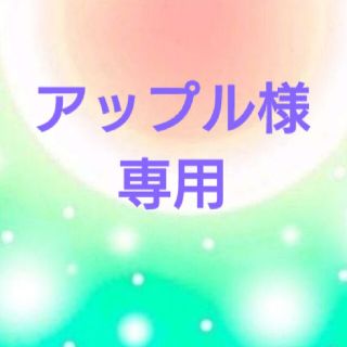 メンズアウトドア クッションパイルトレッキングソックス  登山靴下 日本製 2足(登山用品)