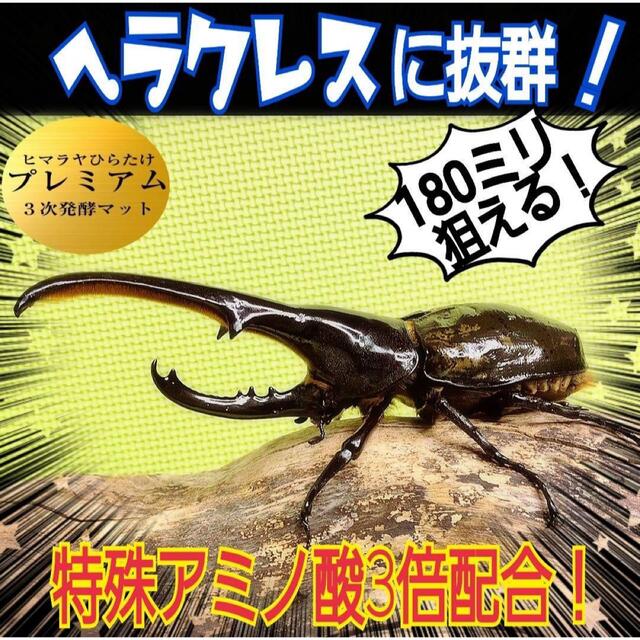 その他極上☆ギネス狙いに！プレミアム3次発酵カブトムシマット【8袋】特殊アミノ酸強化！