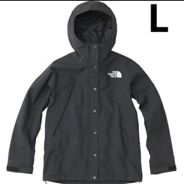 THE NORTH FACE mountain light jacket L