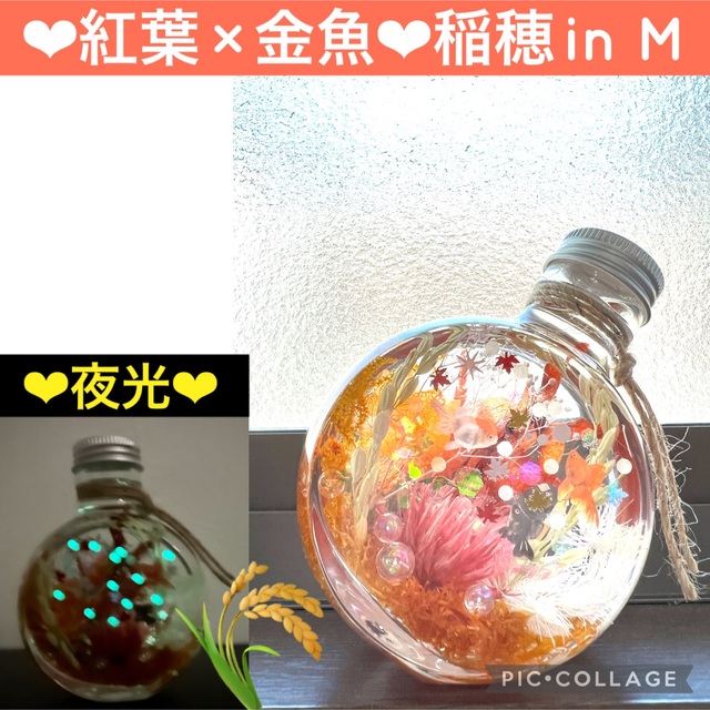 【紅葉×金魚】〜❄︎癒しの蓄光アクアリウム❄︎〜❤︎稲穂in❤︎ネコ瓶 M ハンドメイドのフラワー/ガーデン(プリザーブドフラワー)の商品写真