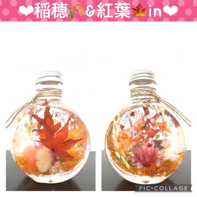 【紅葉×金魚】〜❄︎癒しの蓄光アクアリウム❄︎〜❤︎稲穂in❤︎ネコ瓶 M ハンドメイドのフラワー/ガーデン(プリザーブドフラワー)の商品写真