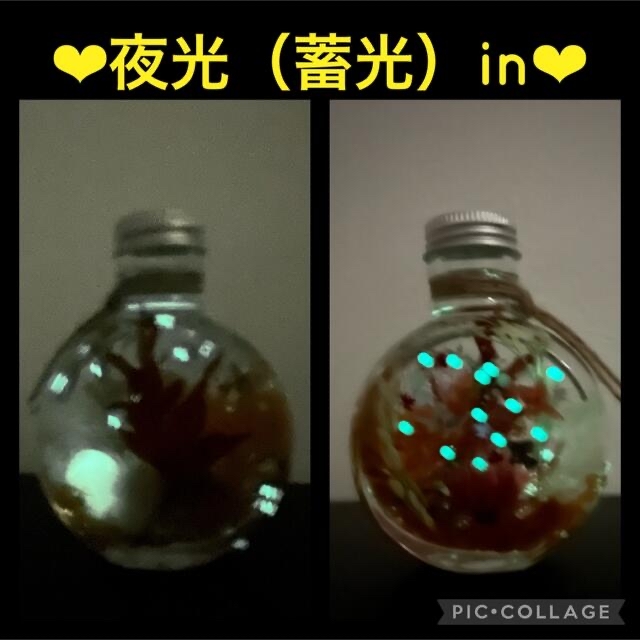 【紅葉×金魚】〜❄︎癒しの蓄光アクアリウム❄︎〜❤︎稲穂in❤︎ネコ瓶 M ハンドメイドのフラワー/ガーデン(プリザーブドフラワー)の商品写真